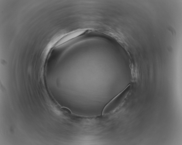 X0000090630099200708071254