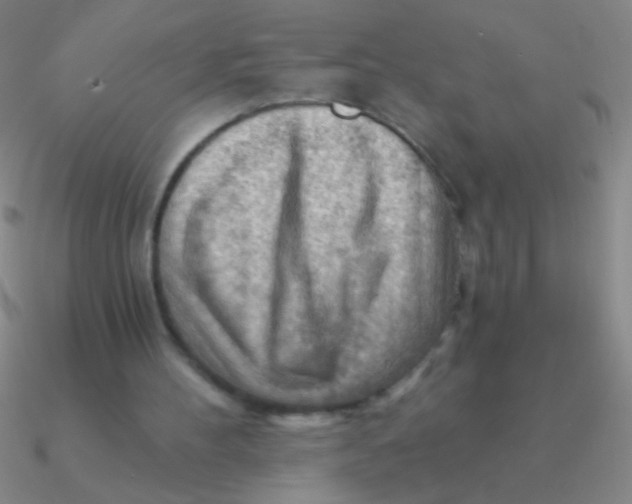 X0000090630100200708071254