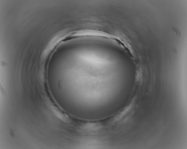 X0000090630101200708071254