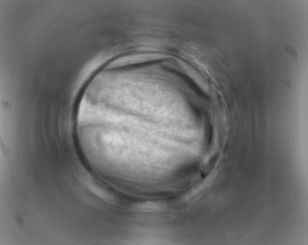 X0000090630102200708071254