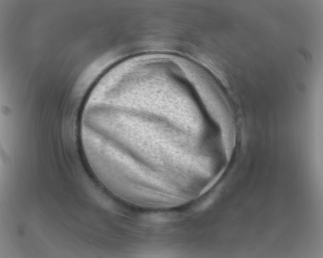 X0000090630103200708071254