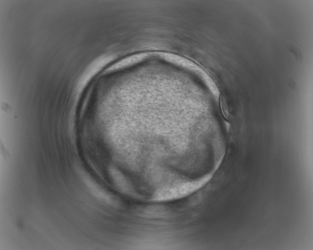 X0000090630104200708071254