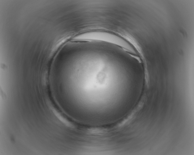 X0000090630105200708071254