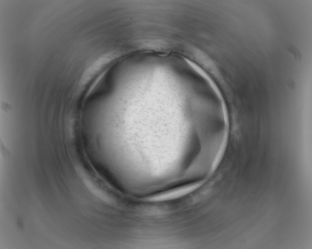 X0000090630106200708071254