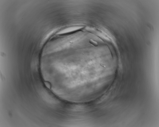 X0000090630107200708071254