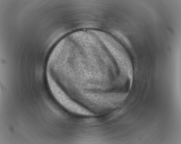 X0000090630108200708071254