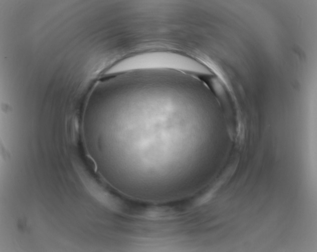 X0000090630109200708071254