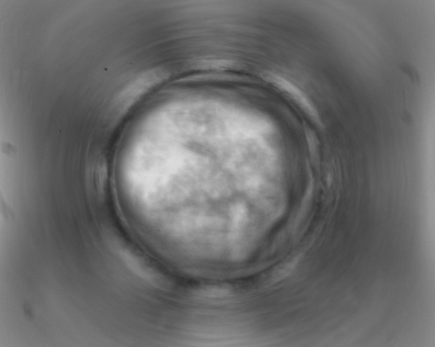 X0000090630110200708071254