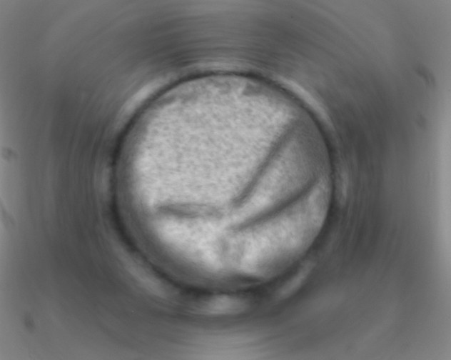 X0000090630111200708071254