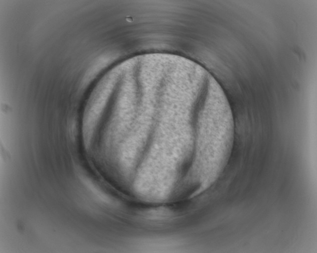 X0000090630112200708071254