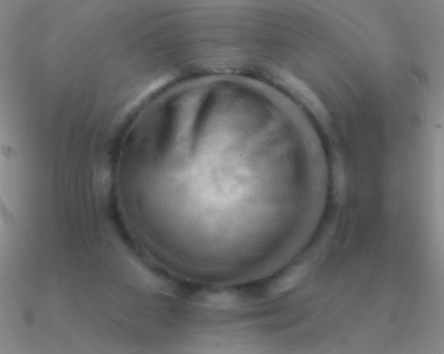 X0000090630113200708071254