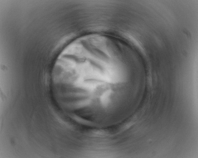 X0000090630115200708071254