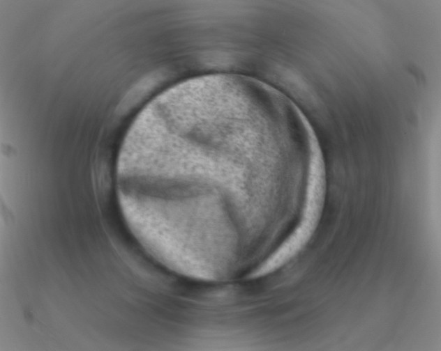 X0000090630116200708071254