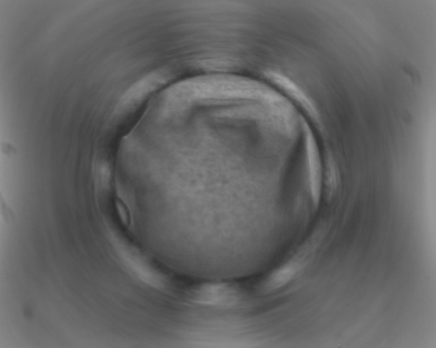 X0000090630117200708071254