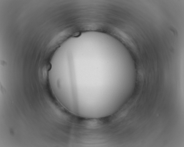 X0000090630118200708071254