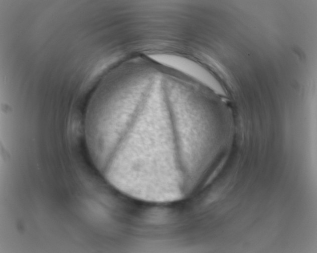 X0000090630119200708071254