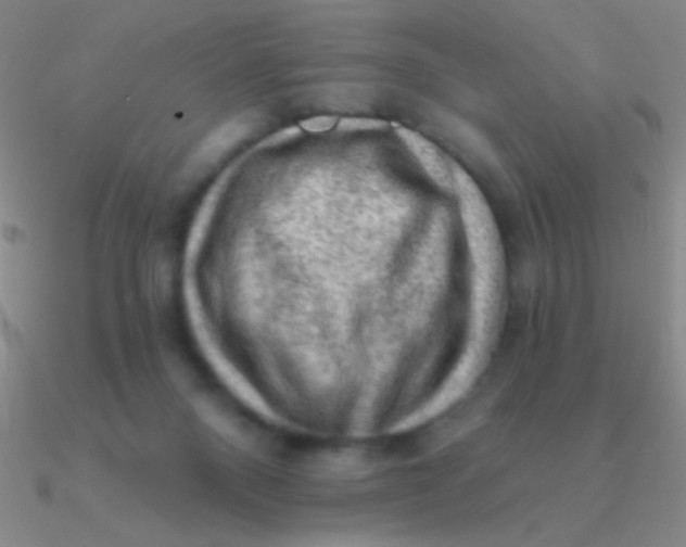 X0000090630120200708071254