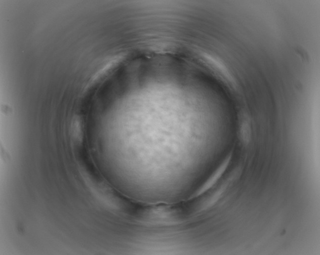 X0000090630121200708071254