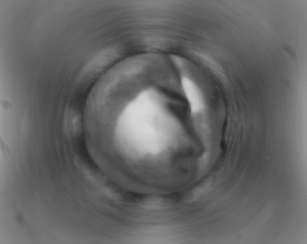 X0000090630123200708071254