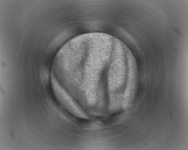 X0000090630124200708071254