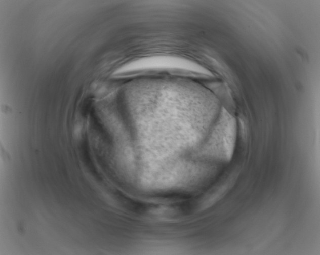 X0000090630125200708071253