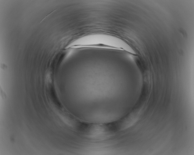 X0000090630127200708071253