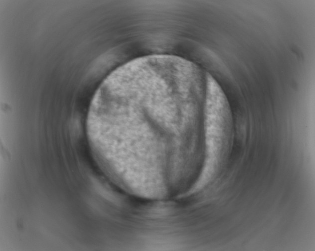 X0000090630128200708071253