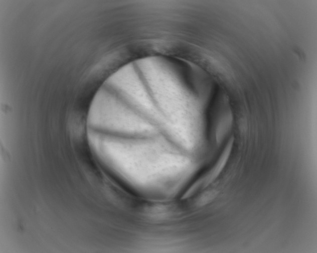 X0000090630129200708071253