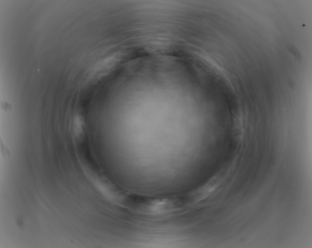 X0000090630130200708071253