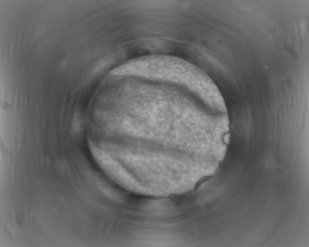 X0000090630132200708071253