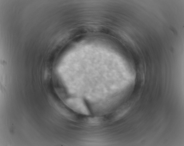 X0000090630134200708071253