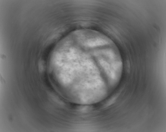 X0000090630135200708071253