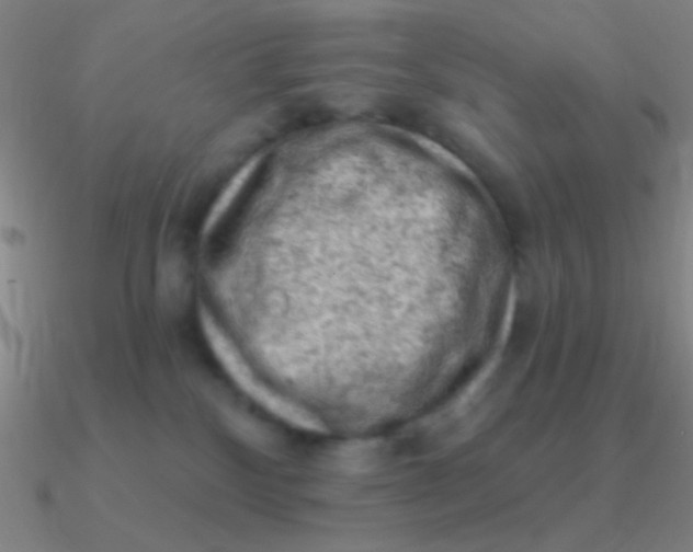 X0000090630136200708071253