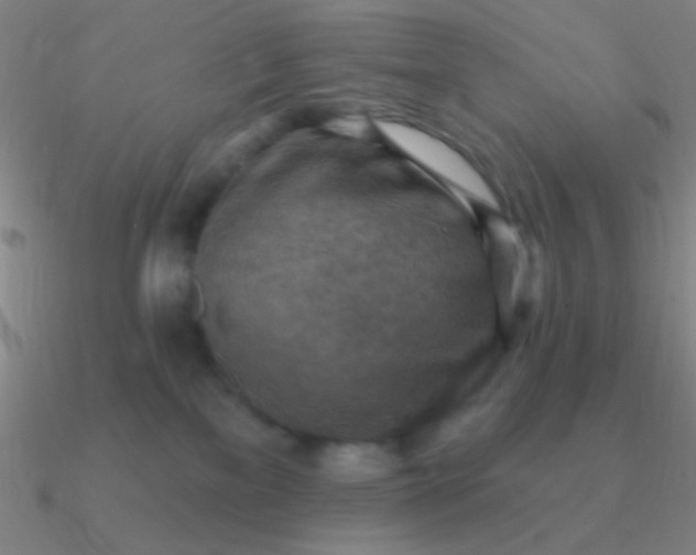 X0000090630137200708071253