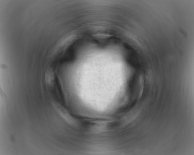 X0000090630138200708071253