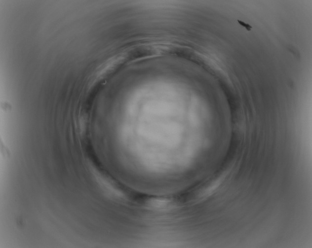 X0000090630139200708071253