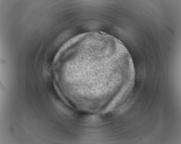 X0000090630140200708071253