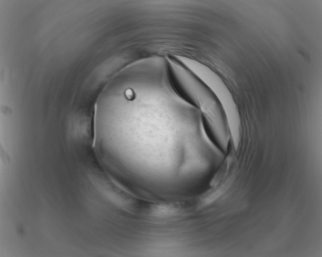 X0000090630141200708071253