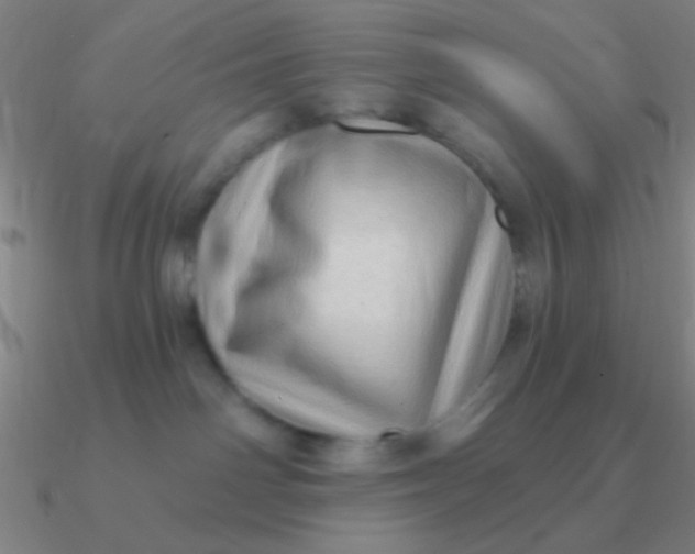 X0000090630142200708071253