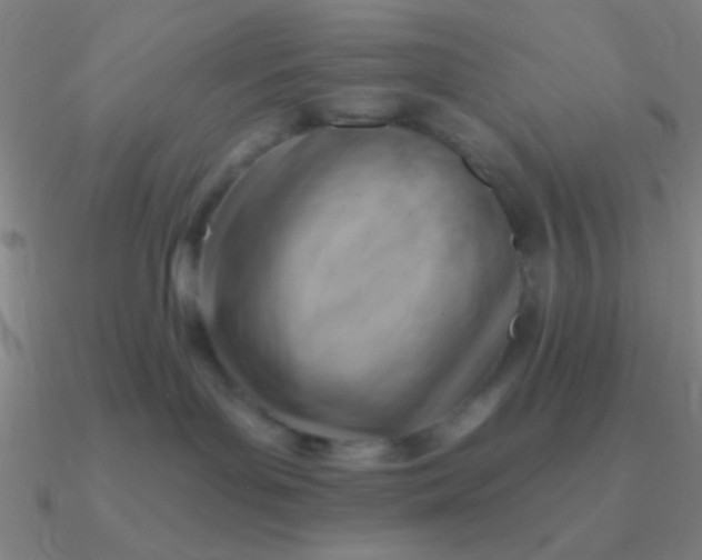 X0000090630143200708071253