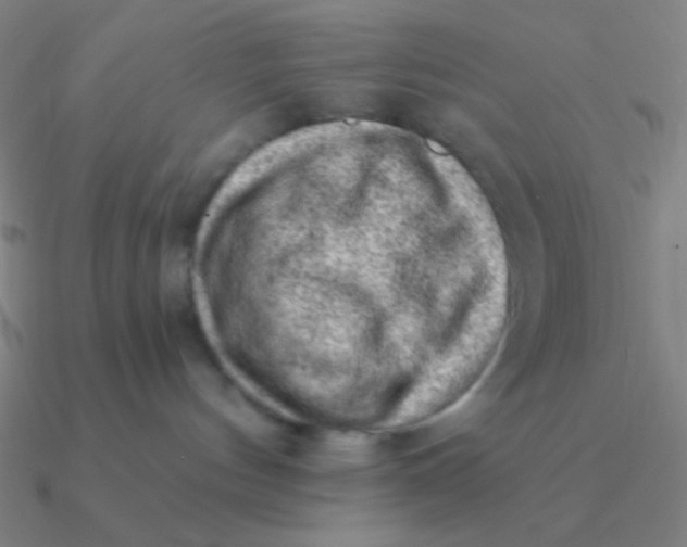 X0000090630144200708071253