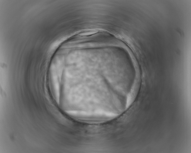 X0000090630145200708071253