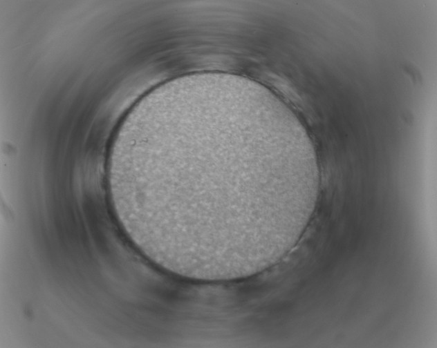 X0000090630146200708071253