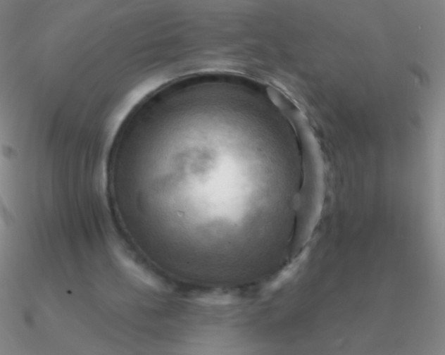 X0000090630148200708071253