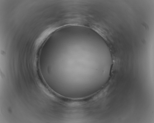 X0000090630149200708071253