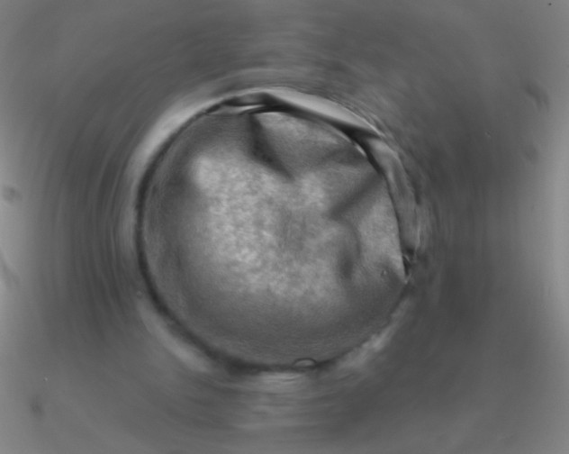 X0000090630150200708071253