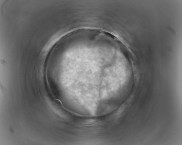 X0000090630151200708071253