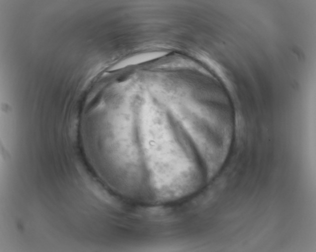 X0000090630153200708071253