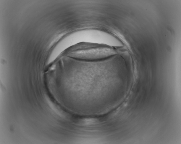 X0000090630154200708071253