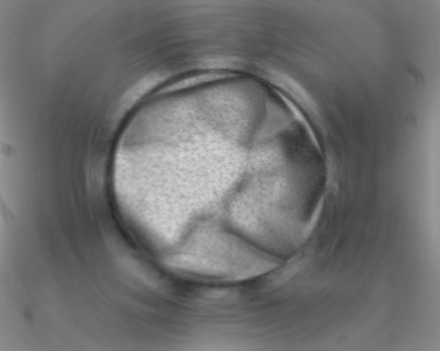 X0000090630155200708071253